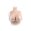 Buste fausse poitrine, col haut, Bonnet H