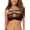 Soutien-gorge dentelle V-10021 - Axami Axami